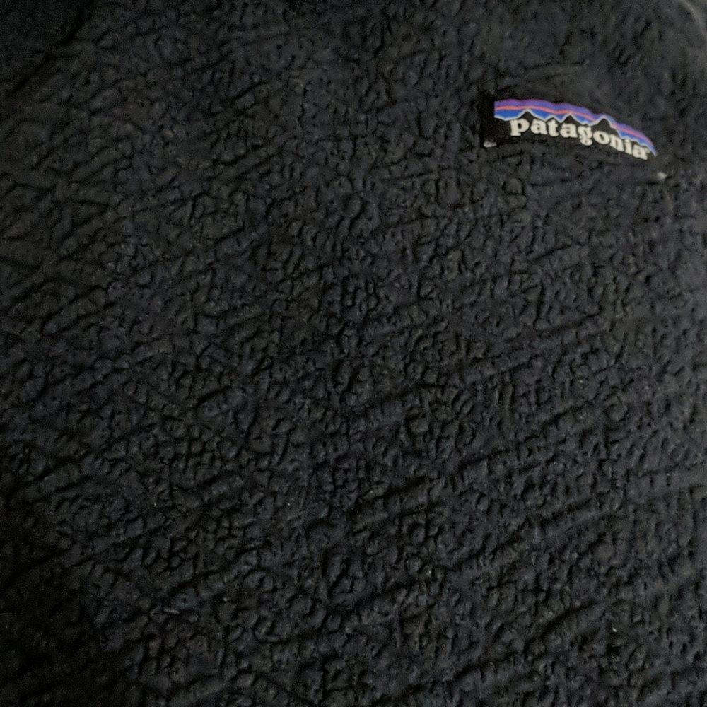 Patagonia hoodie blue